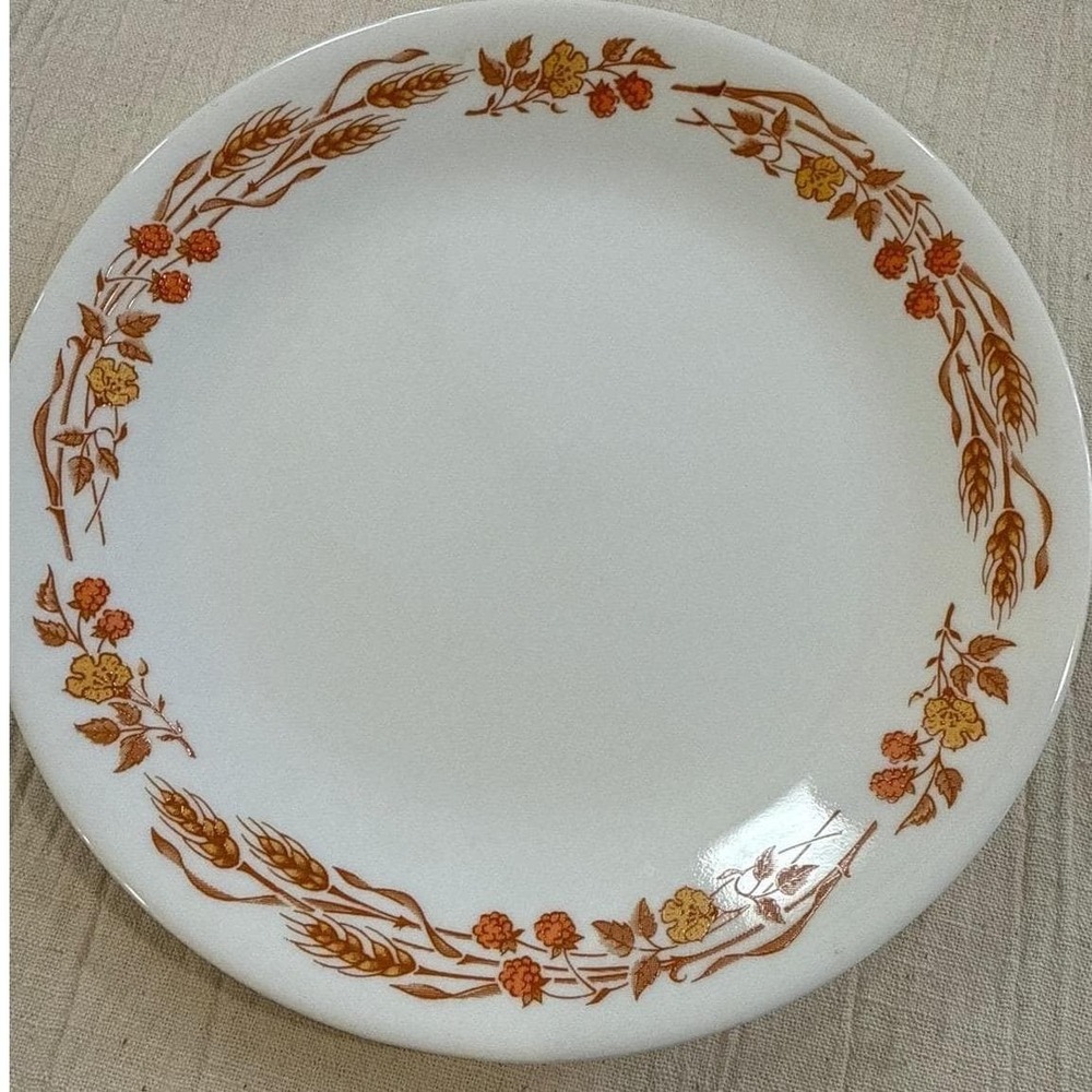 Corelle‎ Autumn Harvest Dinner Plate 8.5 Inch Wheat Berries White Vitrelle Glass